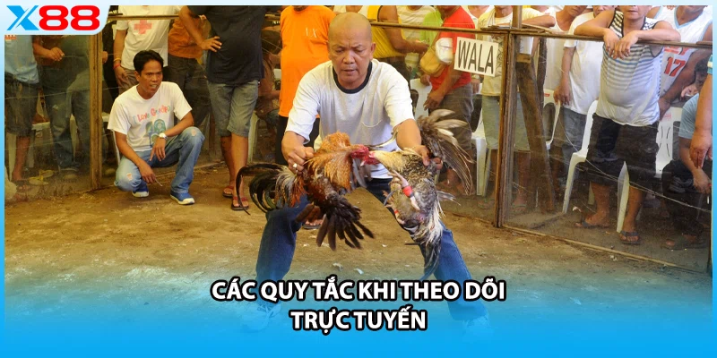 Các quy tắc khi theo dõi trực tuyến